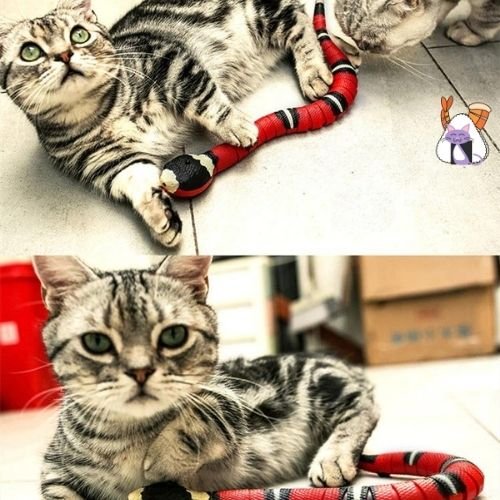 JOUET SERPENT POUR CHAT/GREAT SNAKETOY™ - lumieredeschats