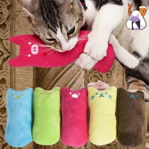 PetTeeth™ /jouet à mâcher pour chat - lumieredeschats