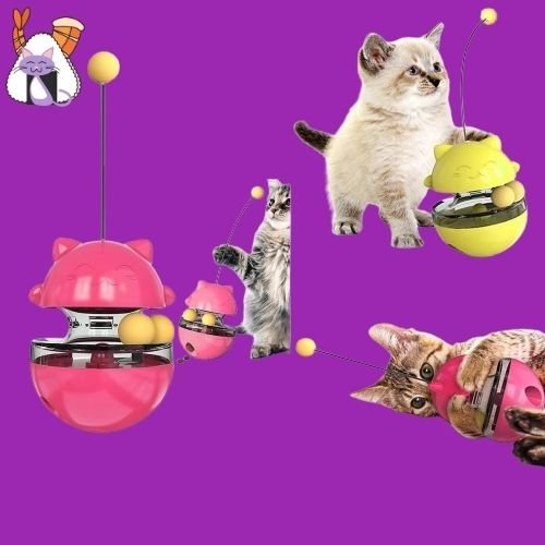 TumbleCat™/ jouets pour attirer l'attention du chat - lumieredeschats