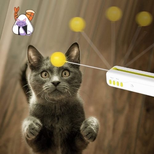 Jeux pour chat avec balle jaune - lumieredeschats