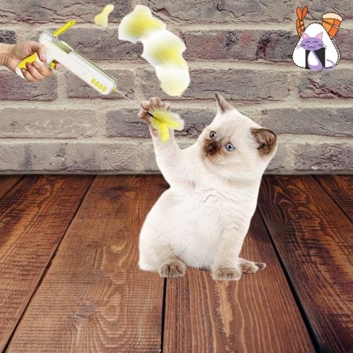 Jeux pour chat  avec plume- lumieredeschats