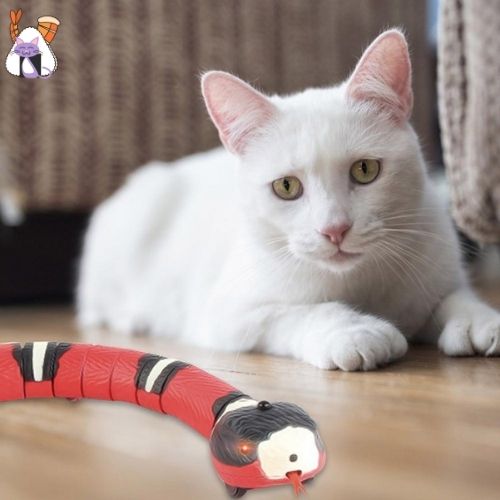 Serpent interactif pour chat - lumieredeschats