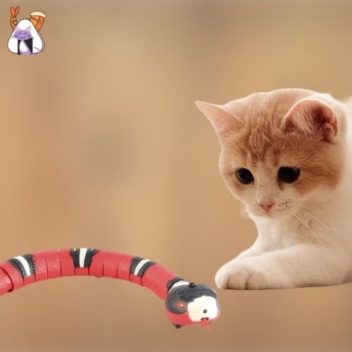 Serpent interactif pour chat rouge - lumieredeschats