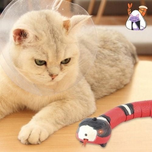 JOUET SERPENT POUR CHAT/GREAT SNAKETOY™ - lumieredeschats